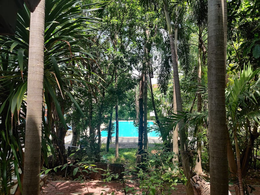 Outdoor pool, open 7:00 AM to 8:00 PM, pool umbrellas, sun loungers