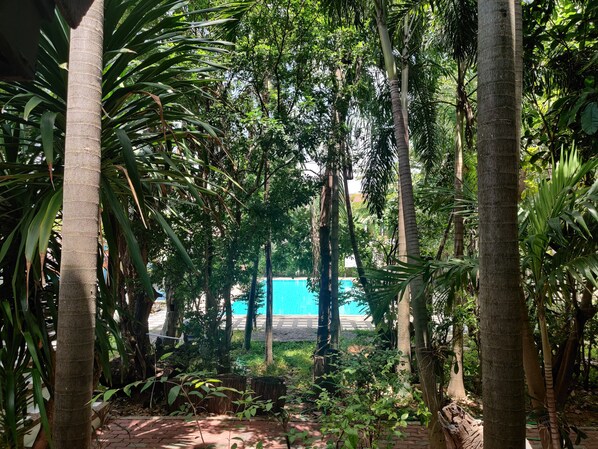 Outdoor pool, open 7:00 AM to 8:00 PM, pool umbrellas, pool loungers