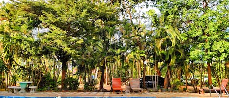 Outdoor pool, open 7:00 AM to 8:00 PM, pool umbrellas, pool loungers