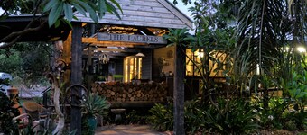 The Laurels of Chinchilla