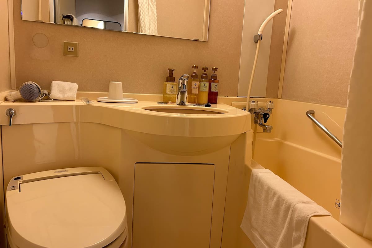 combined shower/bathtub, free toiletries, hair dryer, slippers