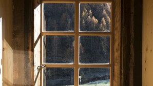 A window with a view of a grassy area and trees.