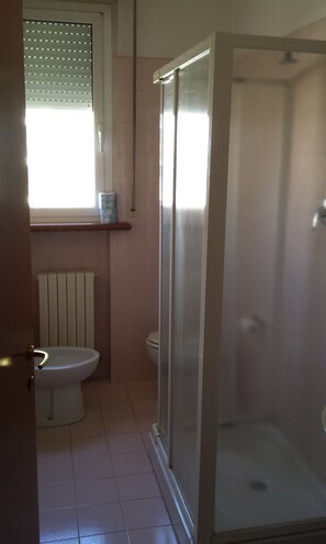 Shower, free toiletries, bidet, towels