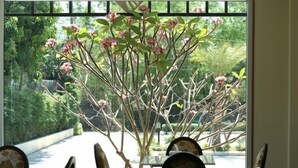 餐廳