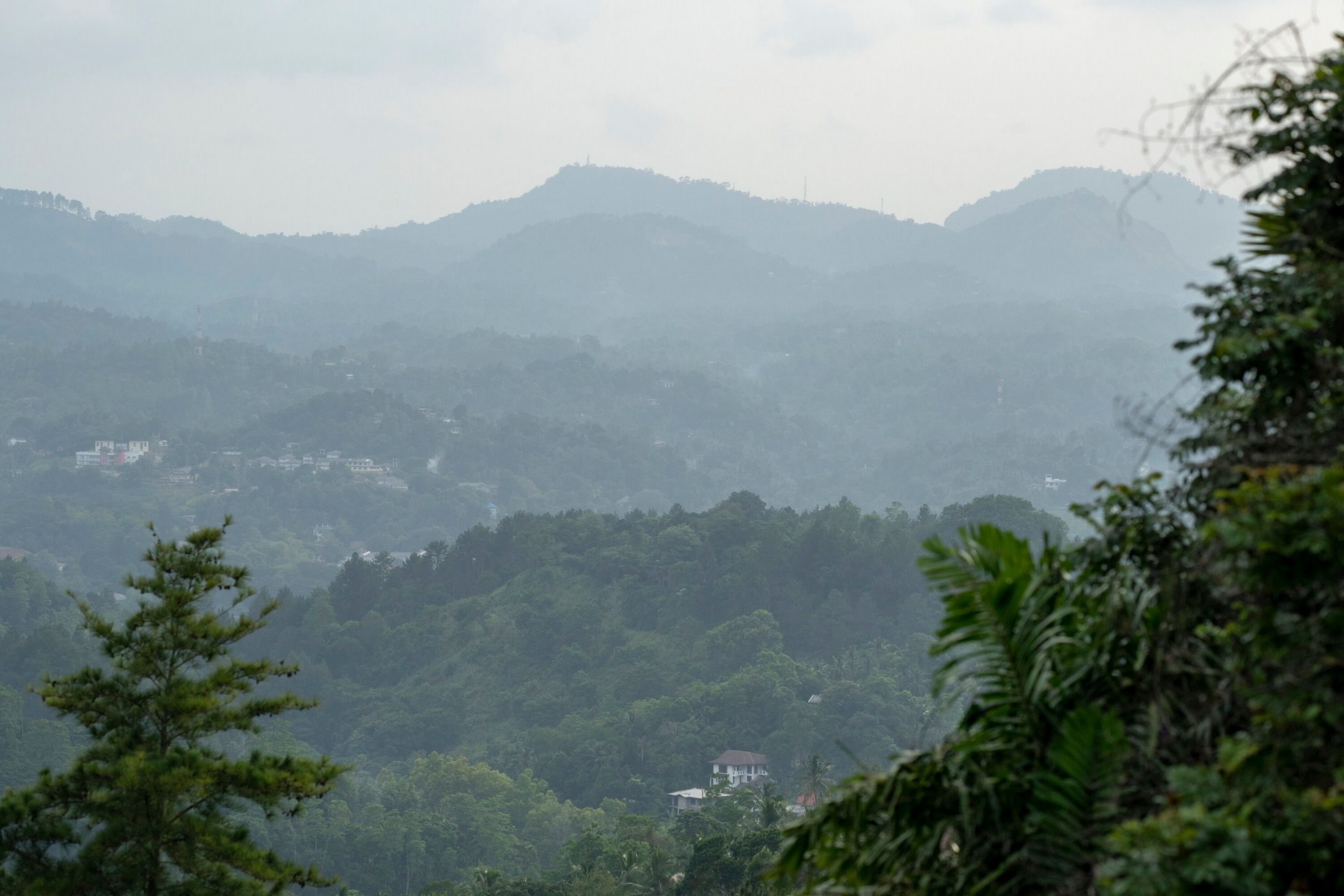 Paisagem montanhosa com floresta densa e alguns edifícios.