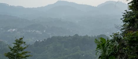 Paisagem montanhosa com floresta densa e alguns edifícios.