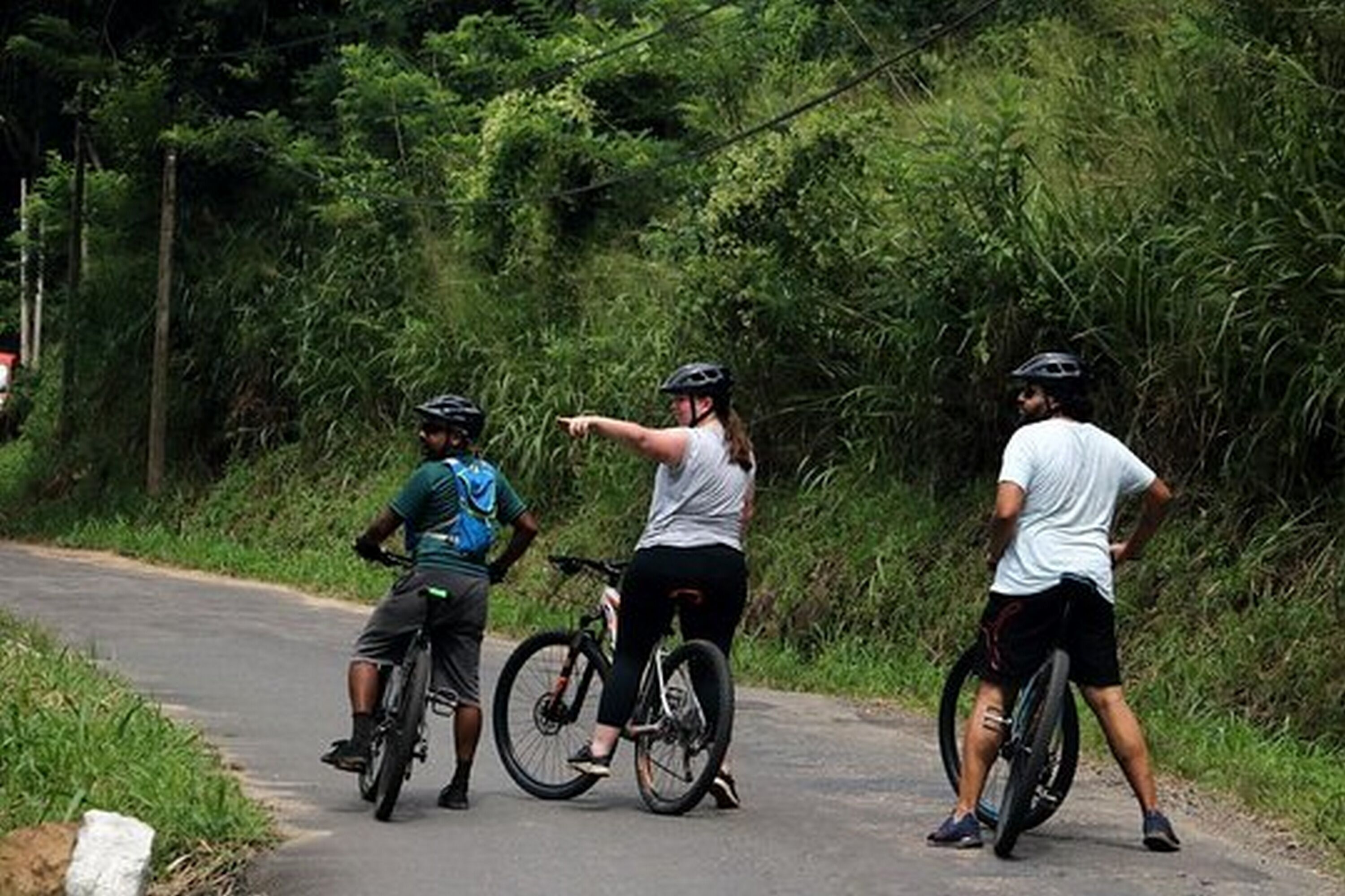 Three cyclists on a paved path surrounded by dense greenery.