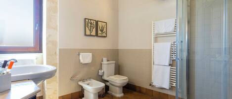 A bathroom with a sink, bidet, toilet, and glass shower enclosure.