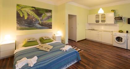 Apartment for Friends