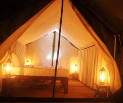 帐篷房 | 客房景观