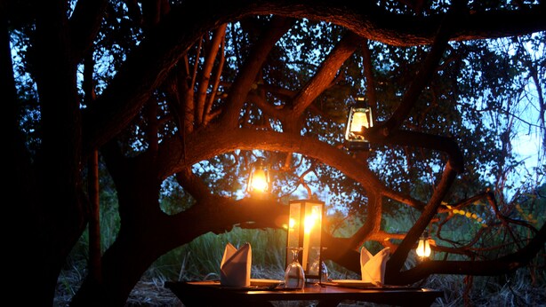 A table set under a tree with a lantern and a bottle. - Sigiriya Lodge - Hostel (Avudangawa)
