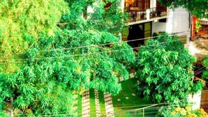 Un hotel de varios pisos con áreas de estar al aire libre y abundante vegetación.
