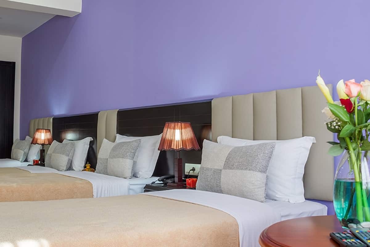 Premium bedding, blackout drapes, soundproofing, WiFi (free)