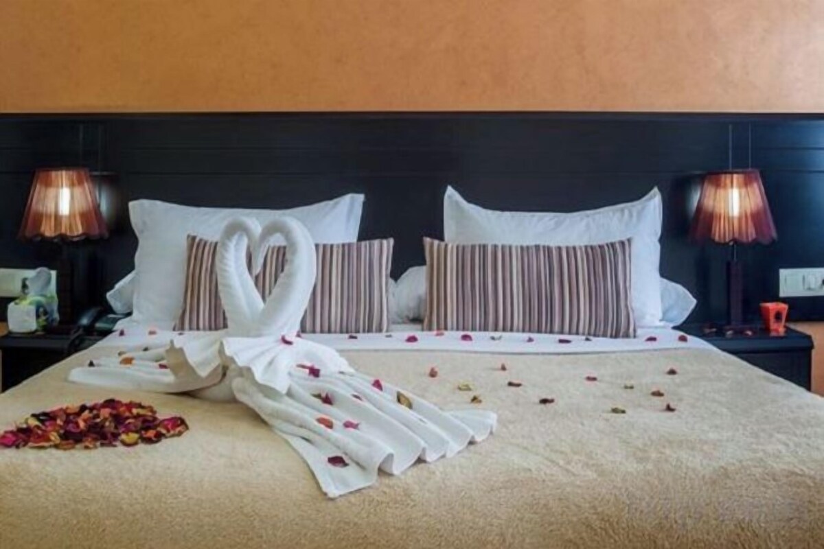 Ropa de cama de alta calidad, cortinas blackout y insonorización