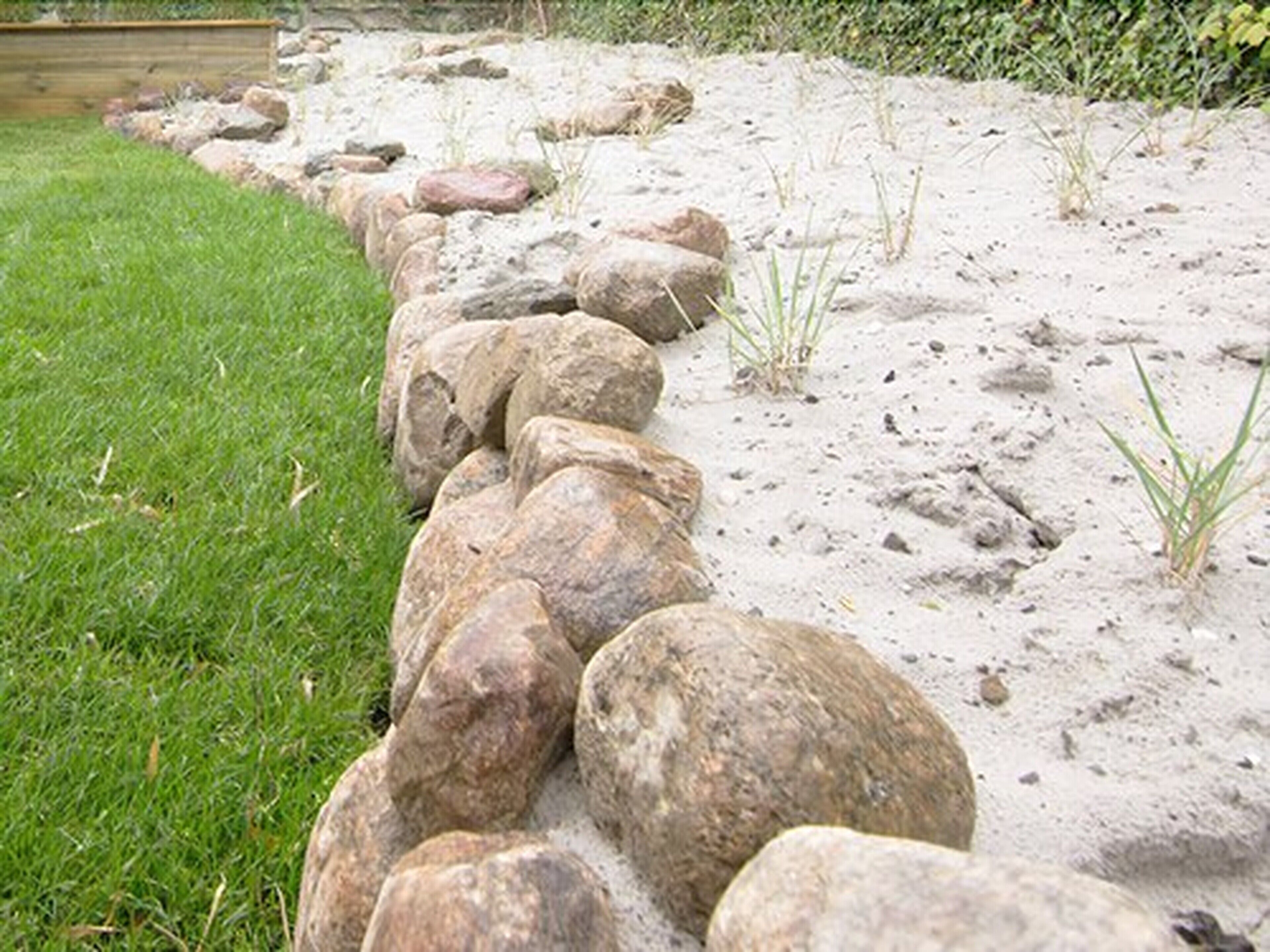 Un sentier de jardin bordé de gros rochers et parsemé de quelques brins d’herbe.