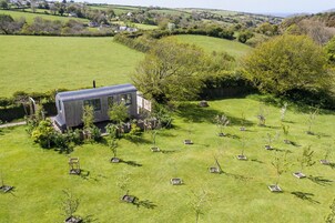 Une maison moderne de plain-pied, dotée d’un toit en métal, entourée d’une pelouse bien entretenue et de plusieurs jeunes arbres.