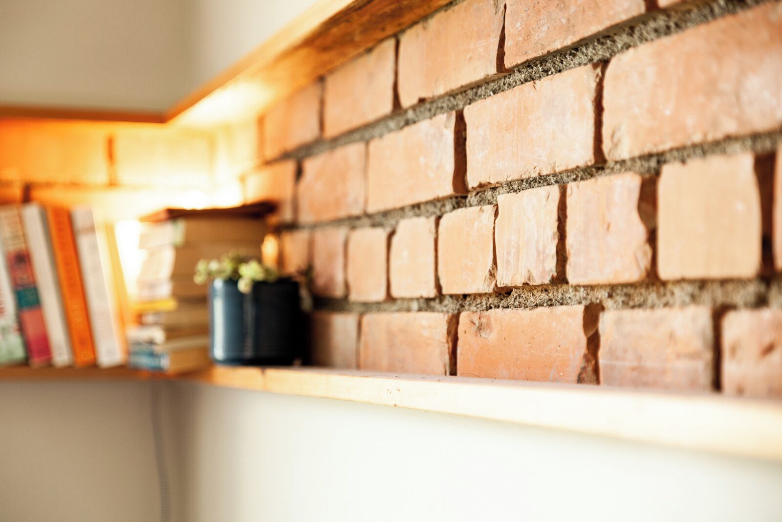 A brick wall with a shelf holding books and a small potted plant.