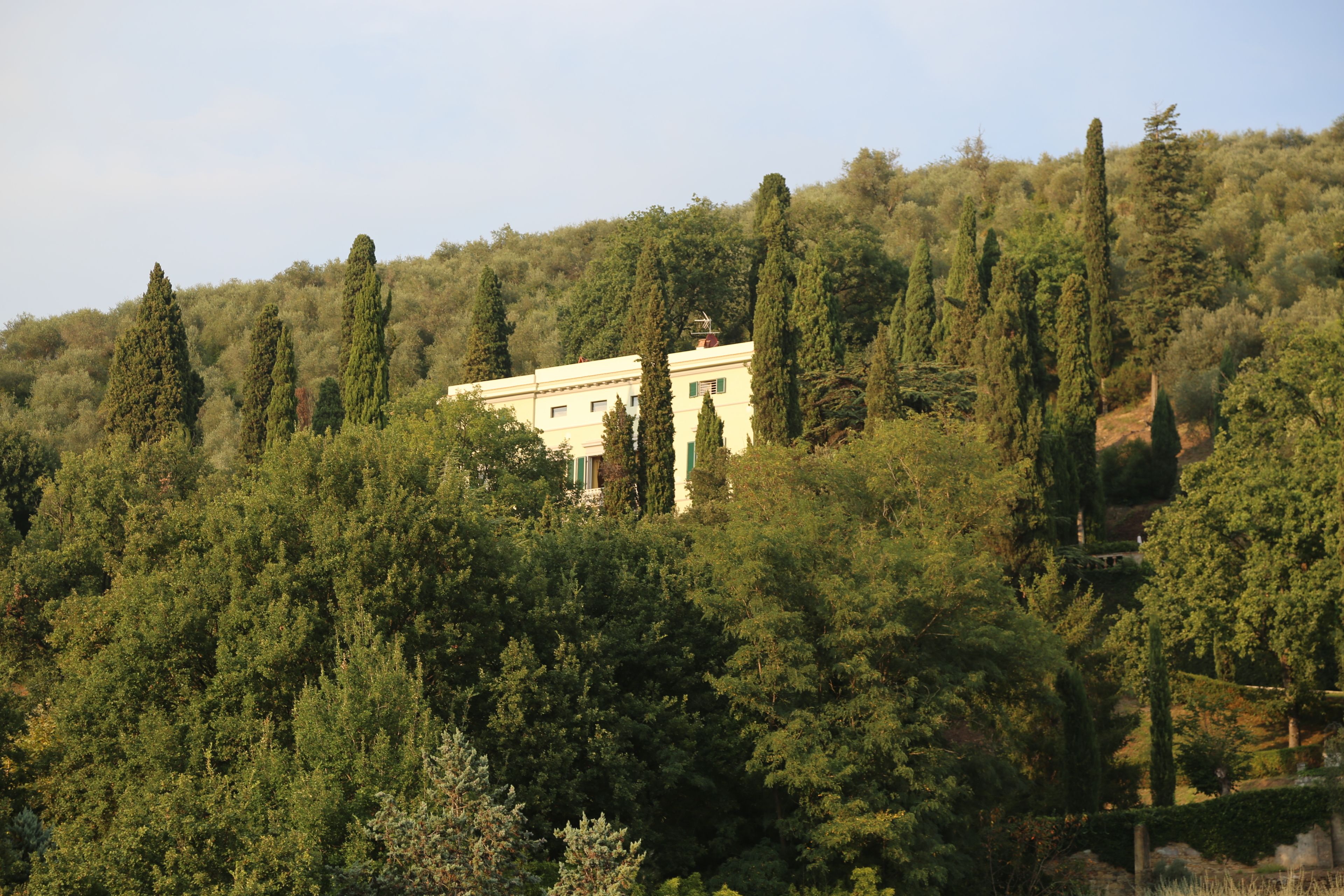 Un edificio circondato da una fitta foresta, con una vista aperta sugli alberi e il paesaggio circostanti.