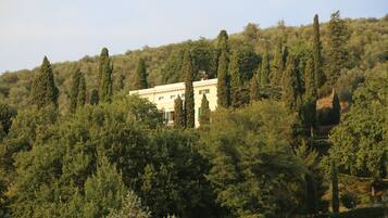 Un edificio circondato da una fitta foresta, con una vista aperta sugli alberi e il paesaggio circostanti.