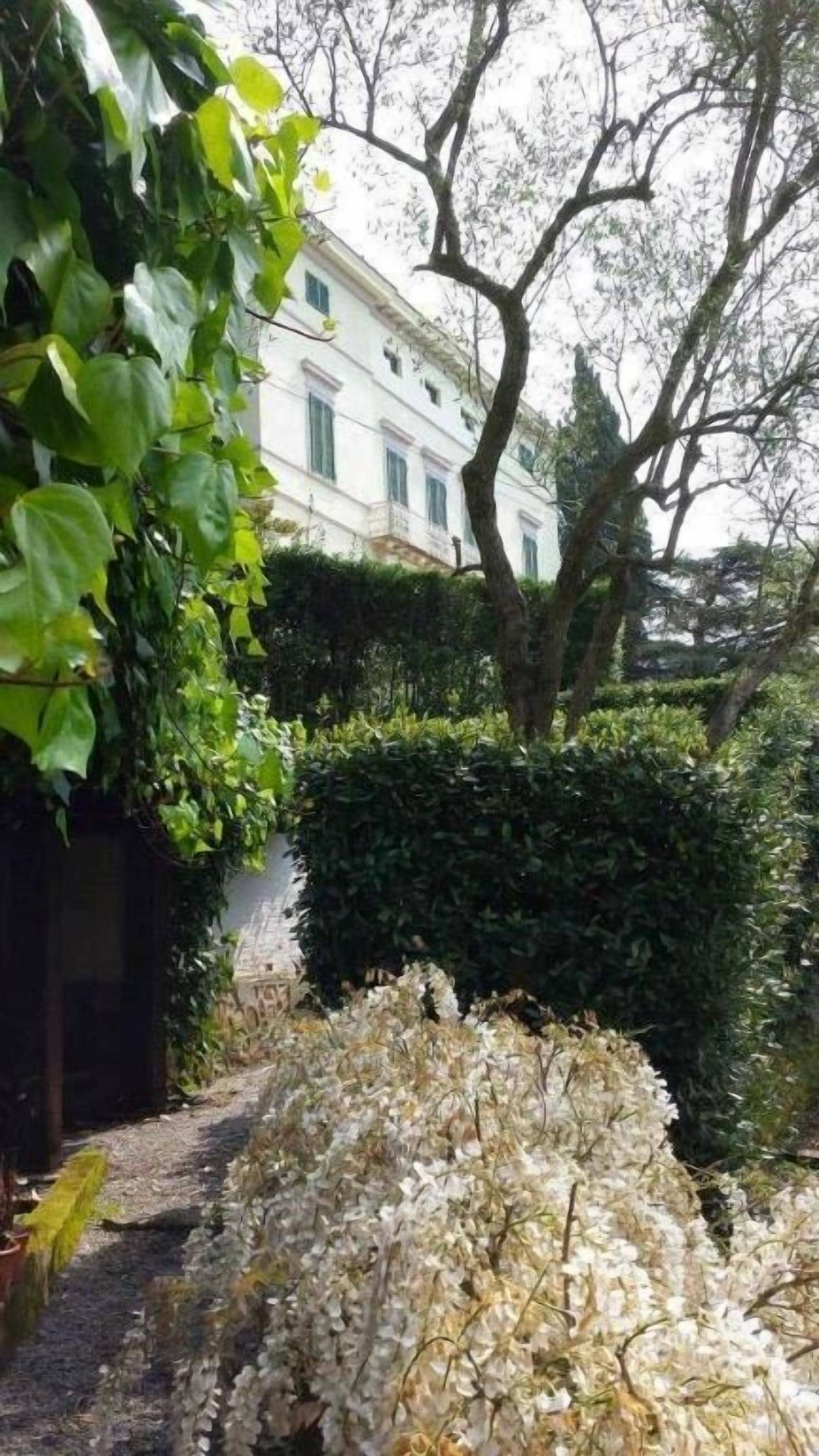 A garden pathway leading to a building with a white facade and green shutters.