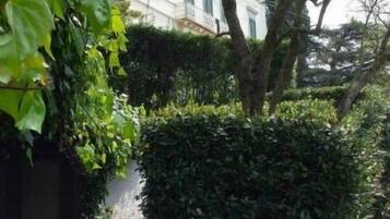 A garden pathway leading to a building with a white facade and green shutters.