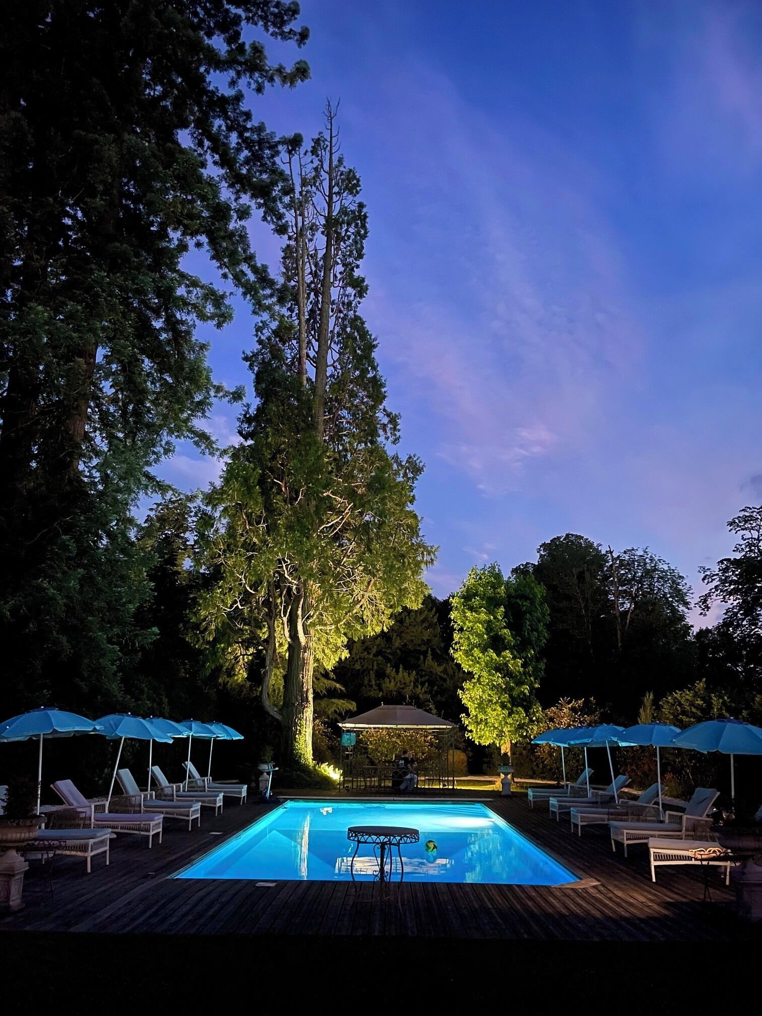 Una piscina rectangular con sillones de descanso y sombrillas, rodeada de árboles y un pabellón.
