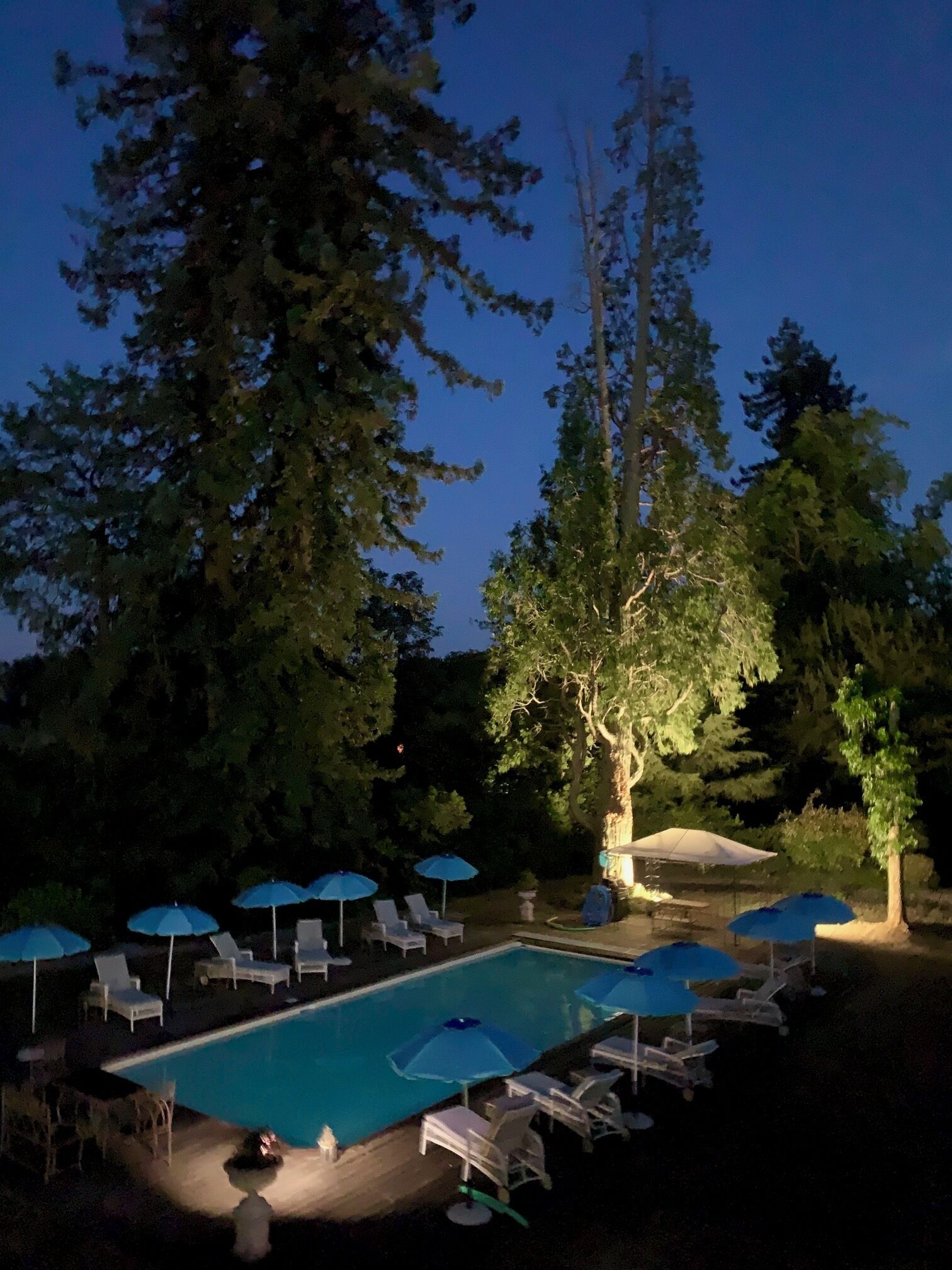 Piscina con sillas de descanso y sombrillas, rodeada de árboles.