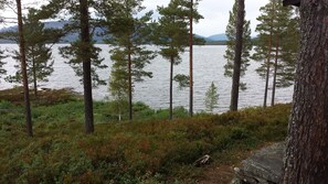 Junior Cabin, Multiple Beds | View from room