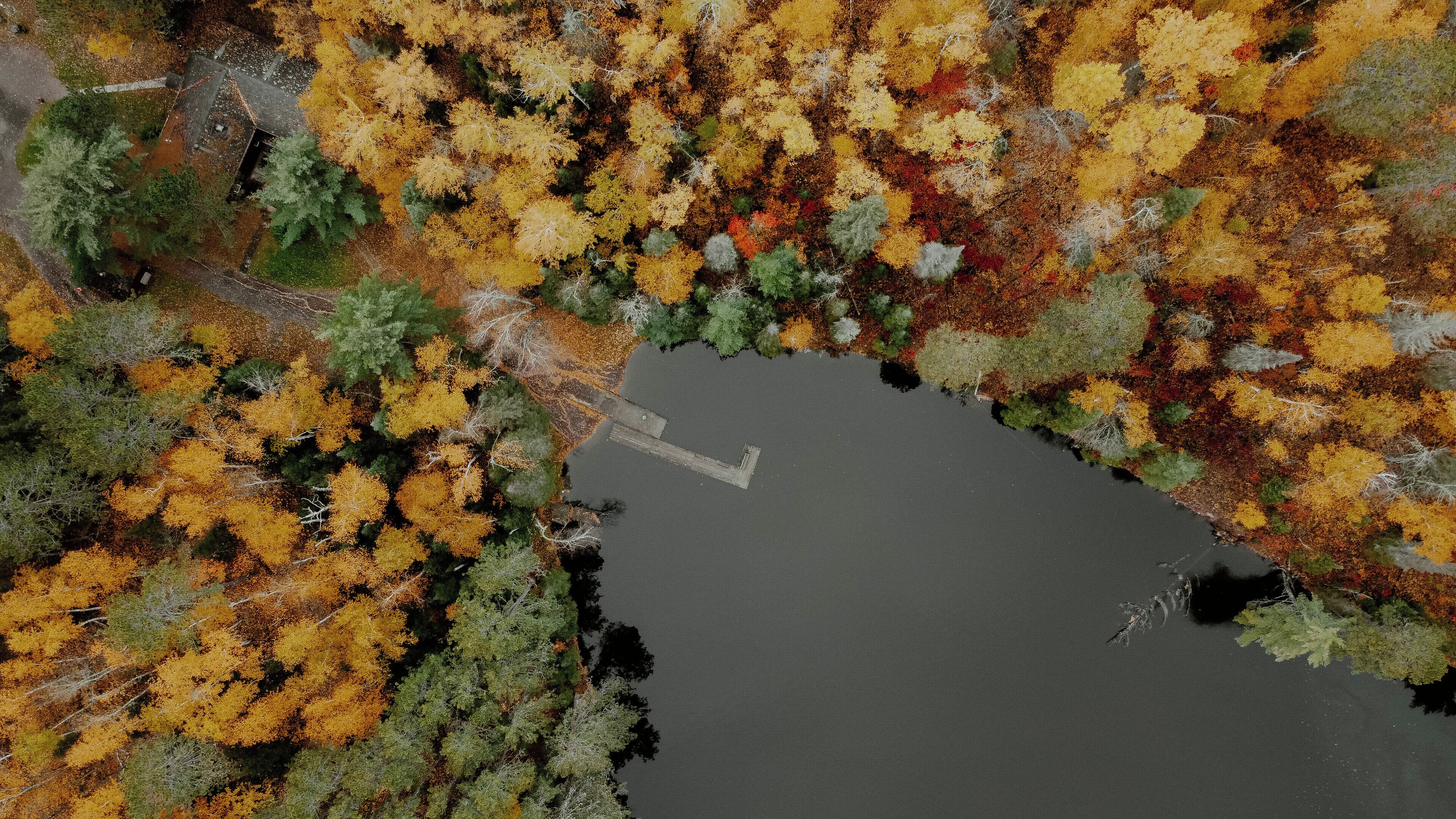 Vista aérea de um lago rodeado por árvores com cores outonais.