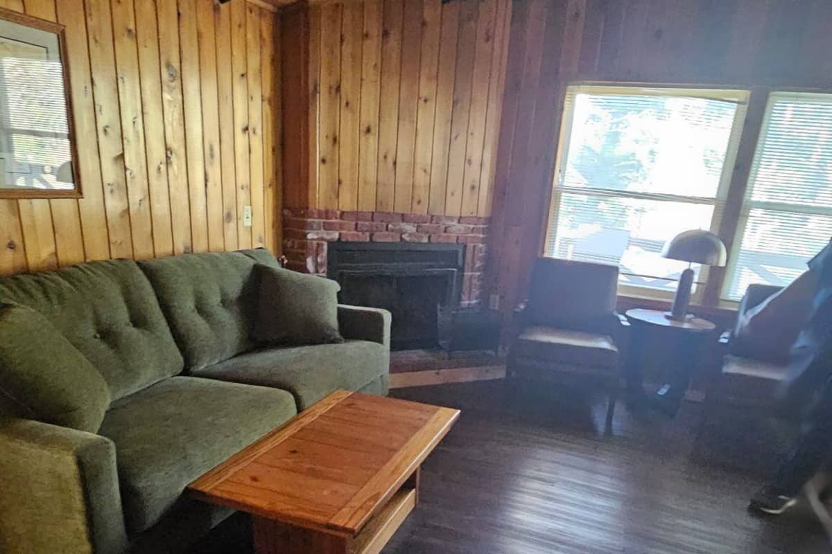 Interior acogedor de una cabaña con un sofá verde, una mesa de centro de madera y una chimenea.