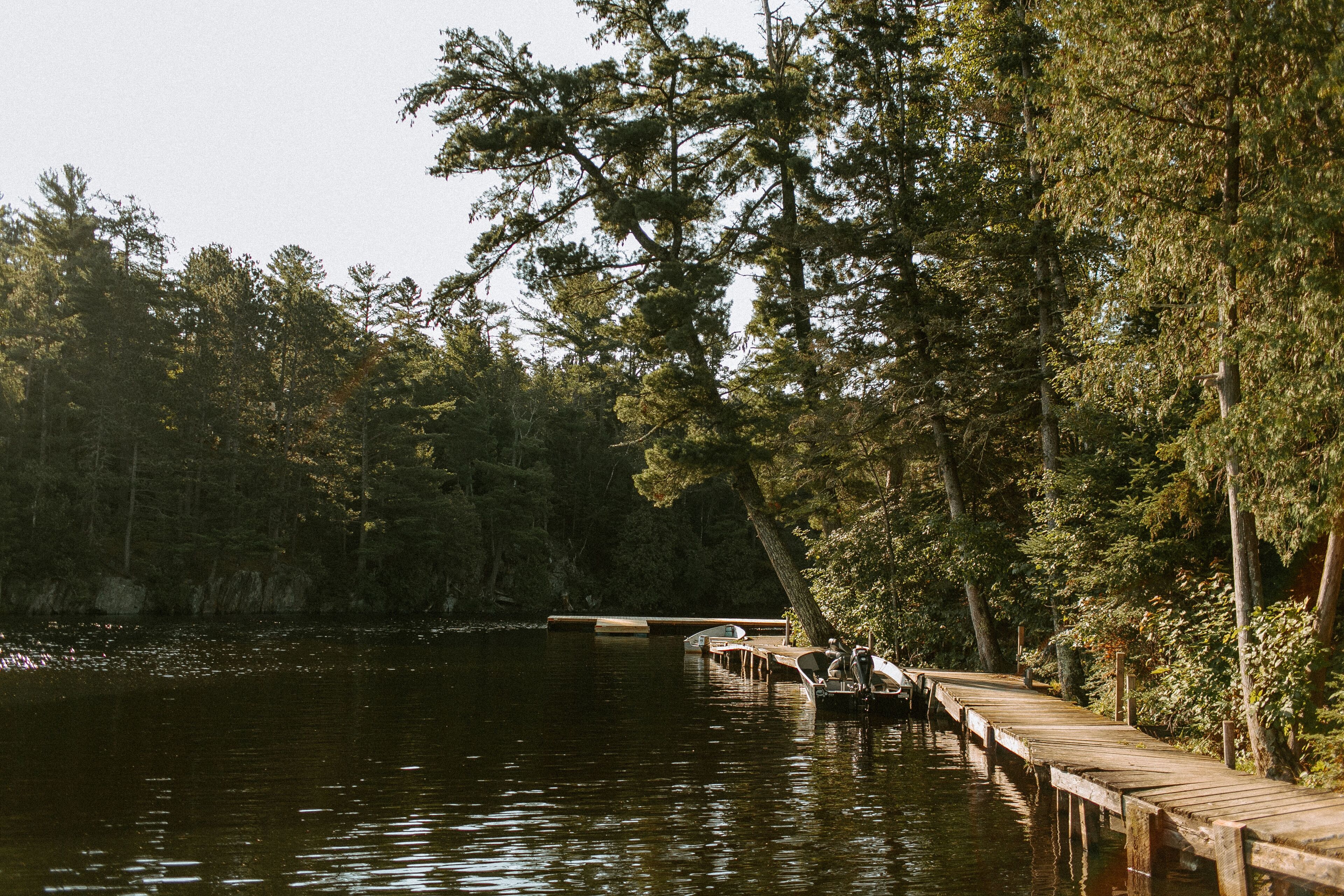 A wooden dock extending into a calm body of water, surrounded by dense trees.