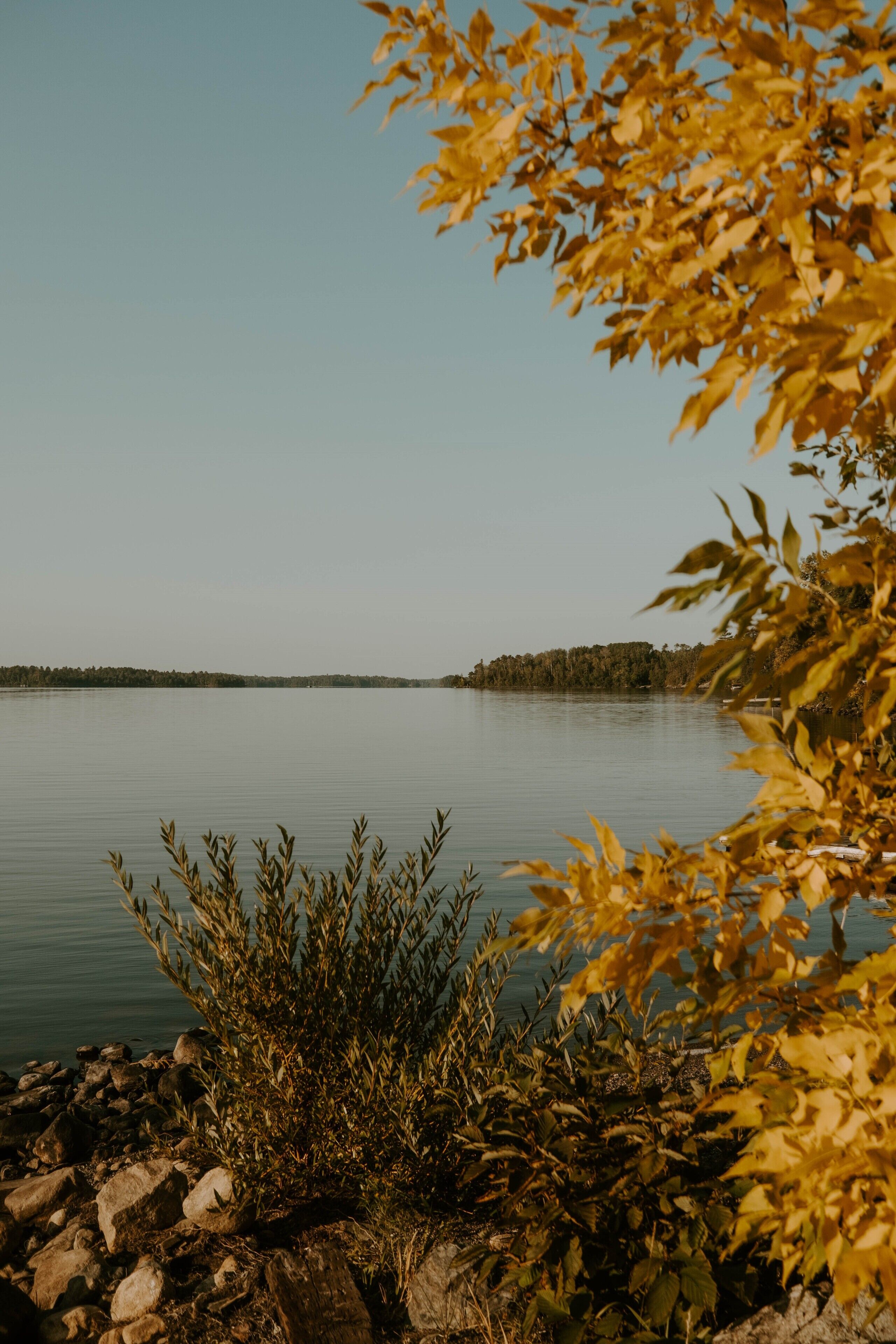 Silver Rapids Lodge in Ely, United States