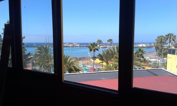 View from property - Dive Resort Ocean Dreams Tenerife - Hostel (Arona)