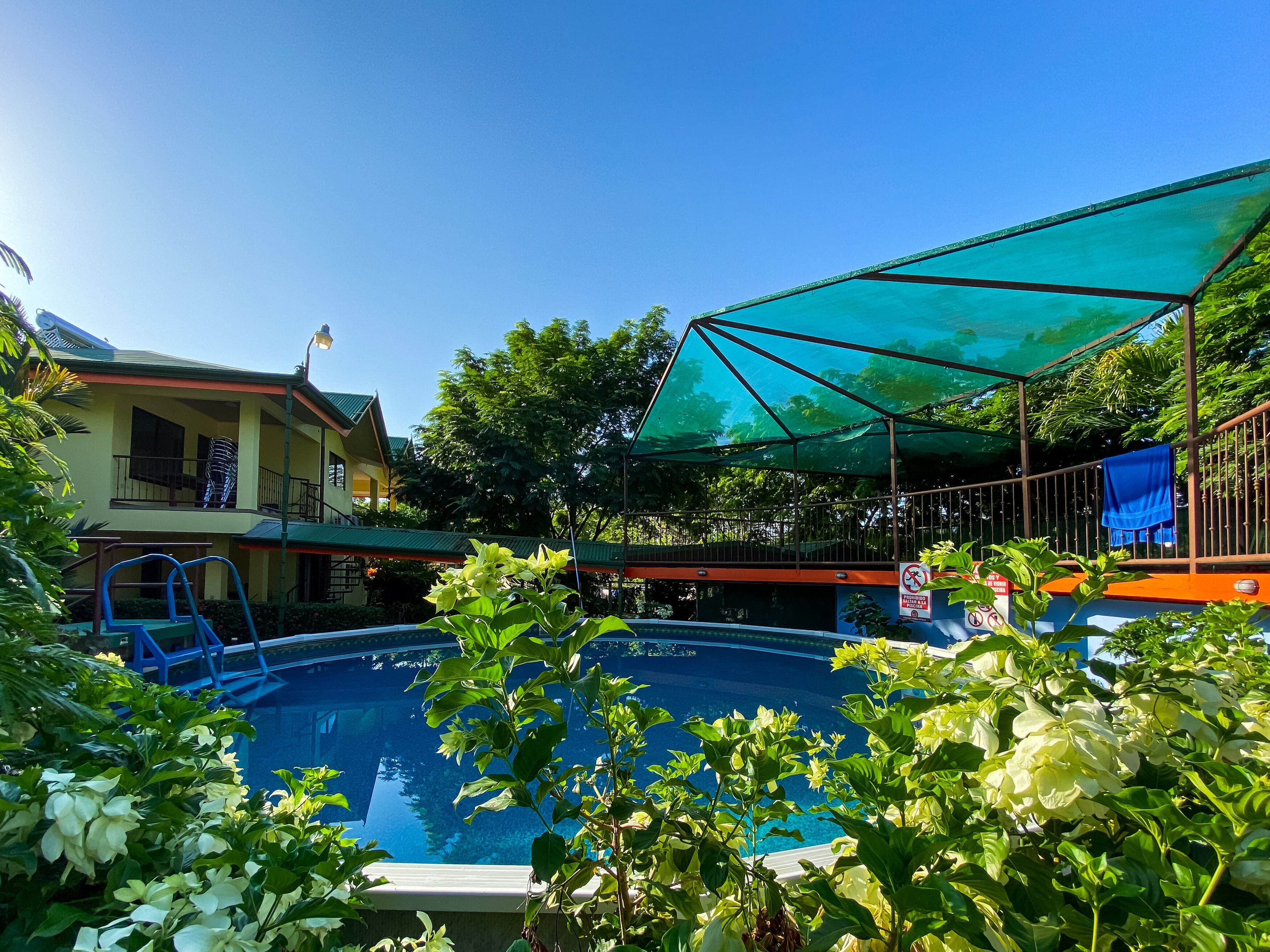 A swimming pool with a blue water surface, surrounded by lush greenery and a covered area with a green canopy.