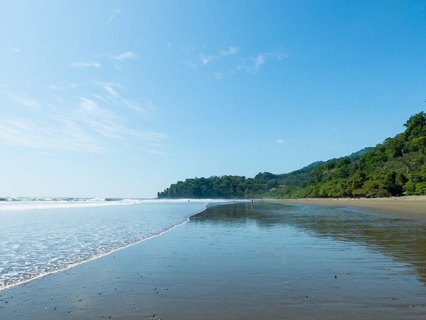 Beach - Hotel El Tecal (Bahía Ballena)