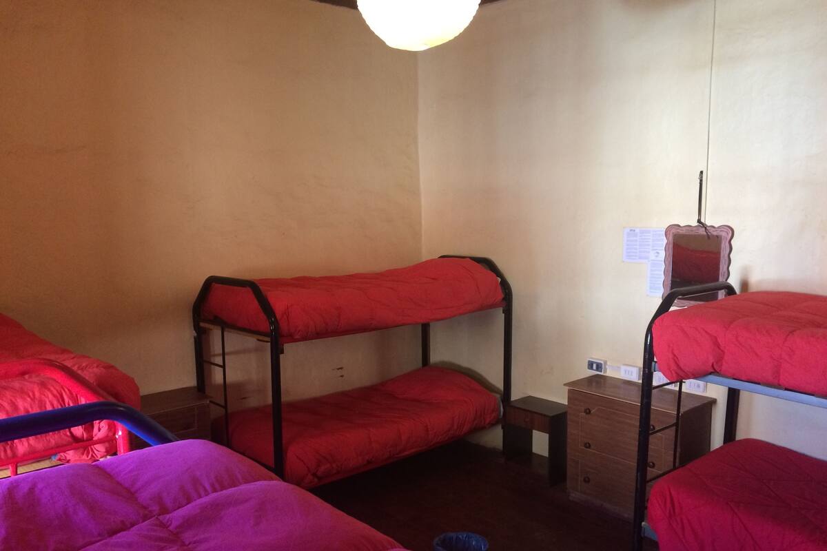 Basic Shared Dormitory, Mixed Dorm