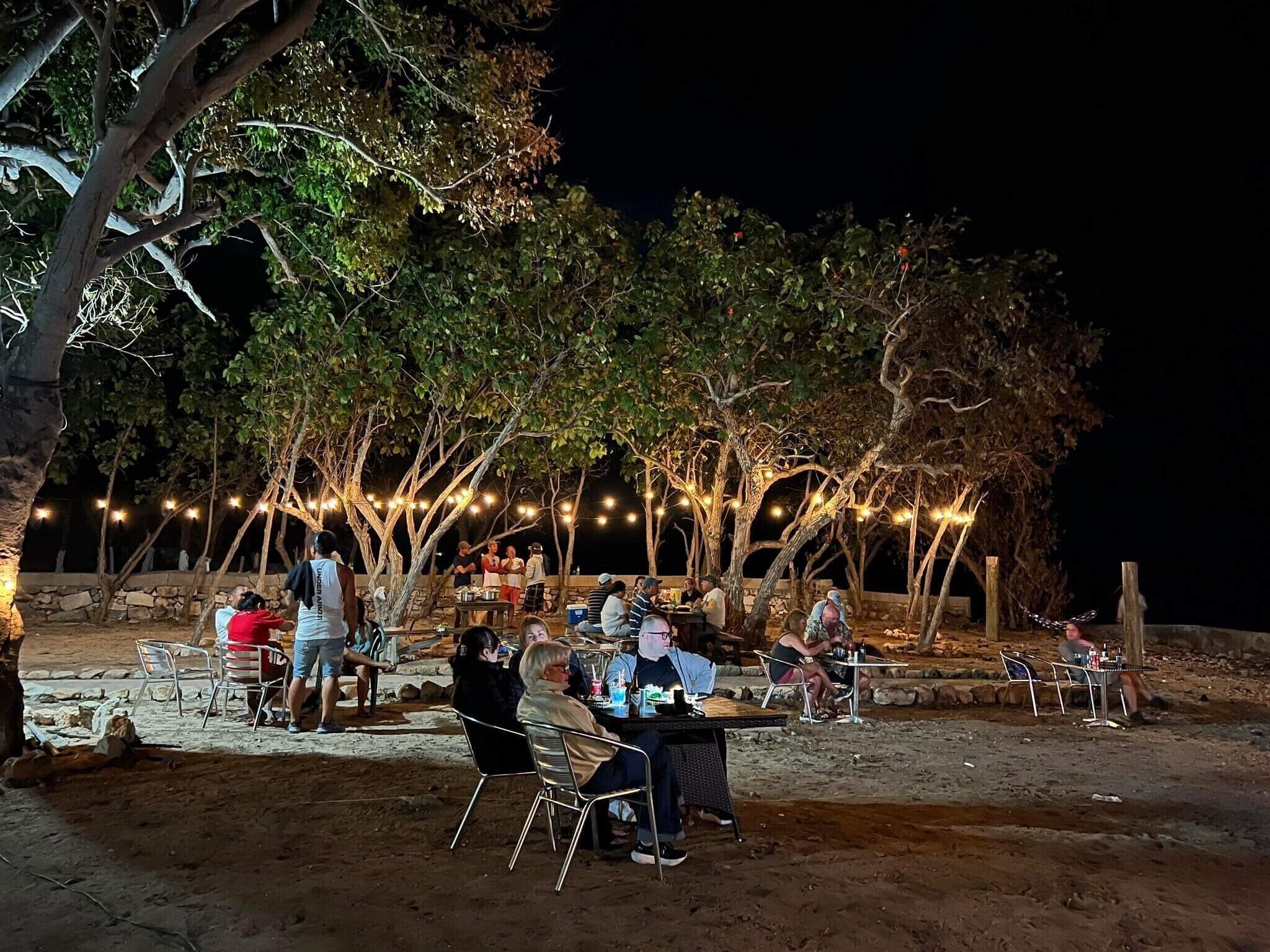 An outdoor dining area with tables and chairs under trees, string lights, and a stone wall in the background.