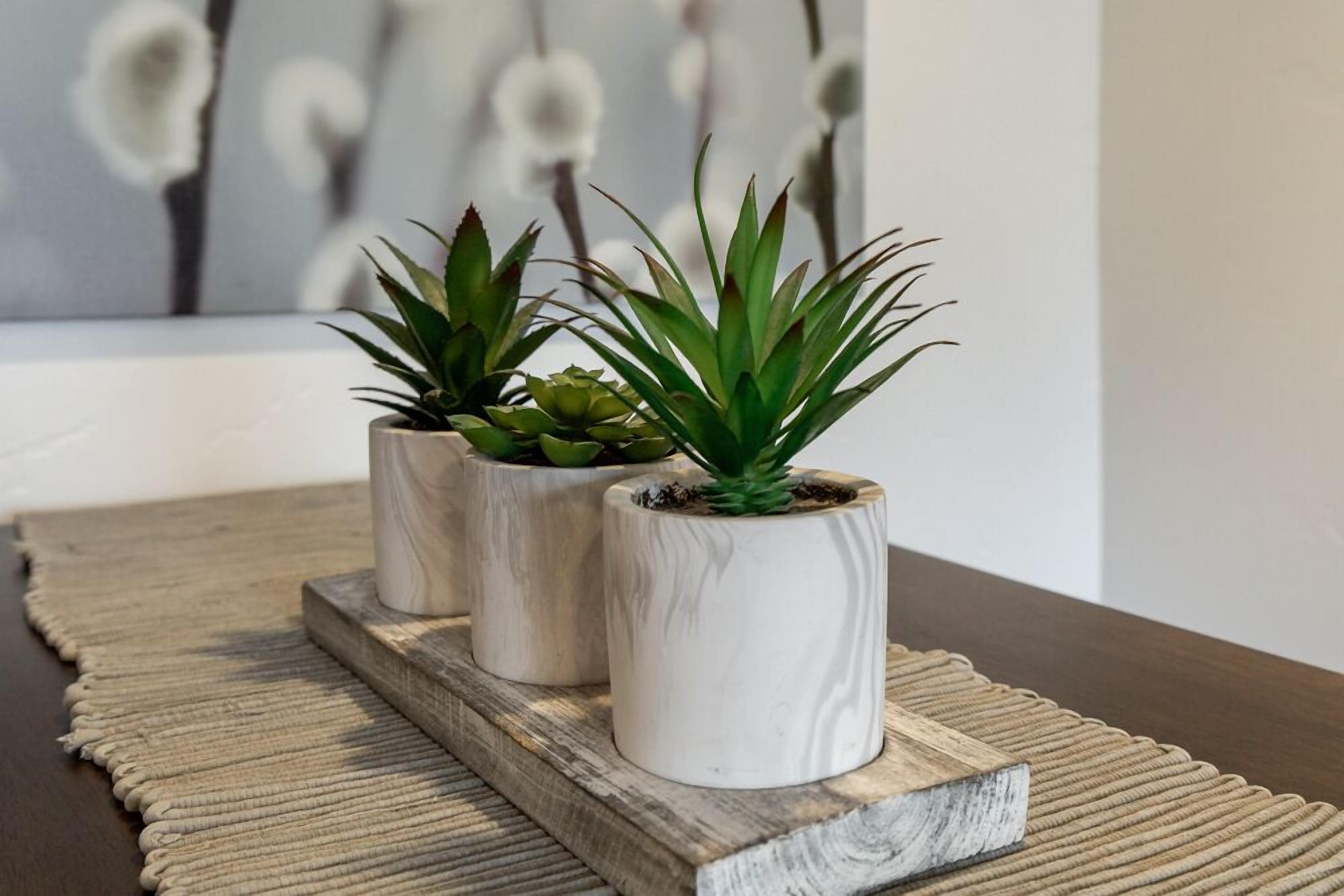 Three potted plants on a wooden tray.