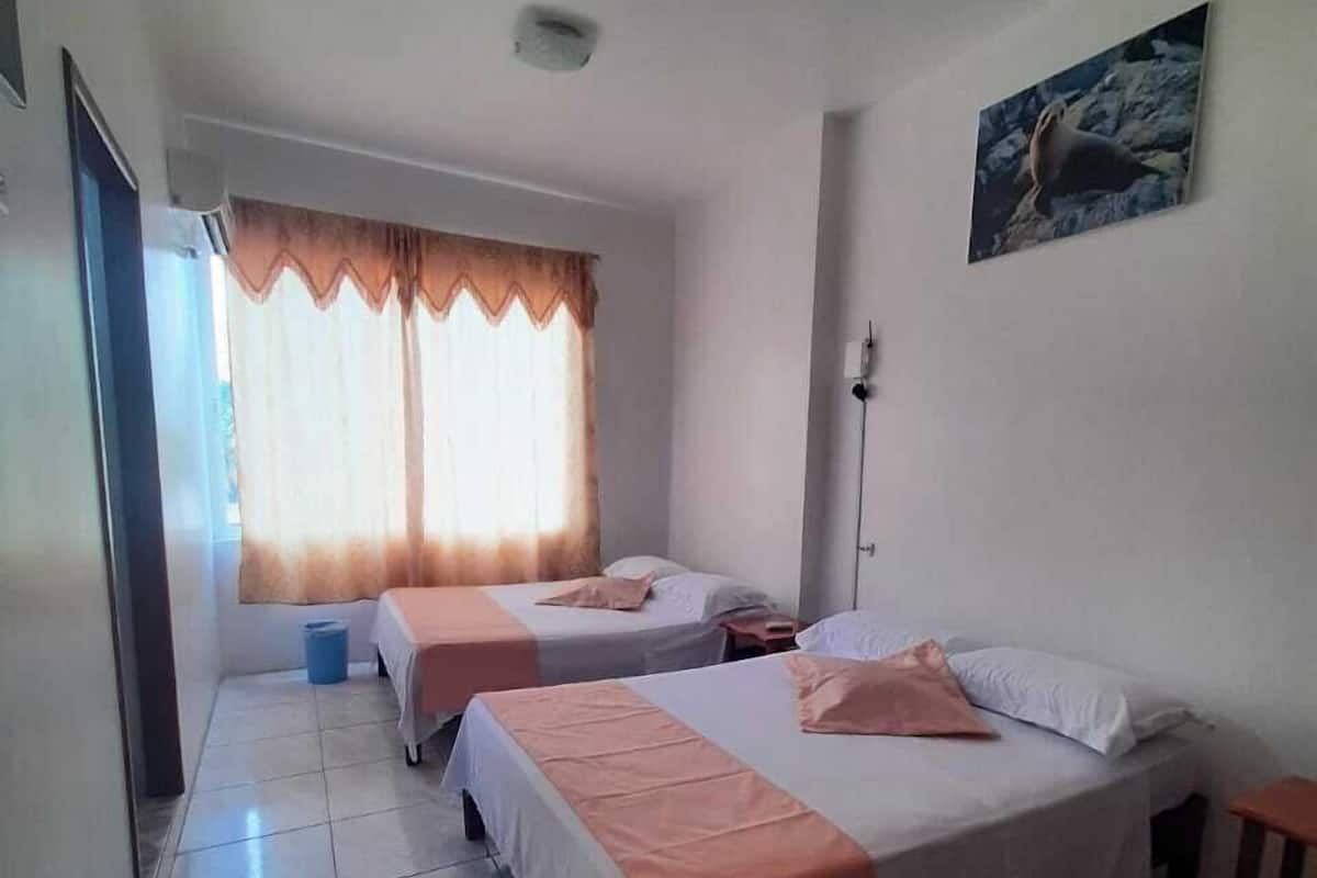 Twin kamer | Gratis wifi, beddengoed