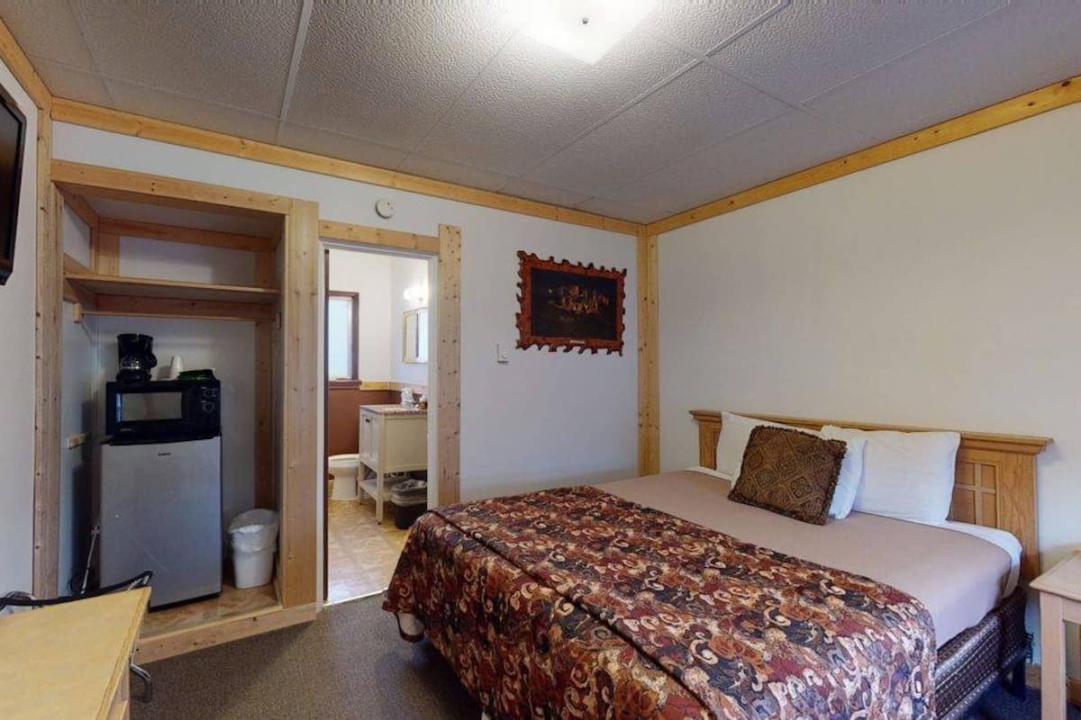 A bedroom with a bed, a television, a microwave, and a small kitchenette.