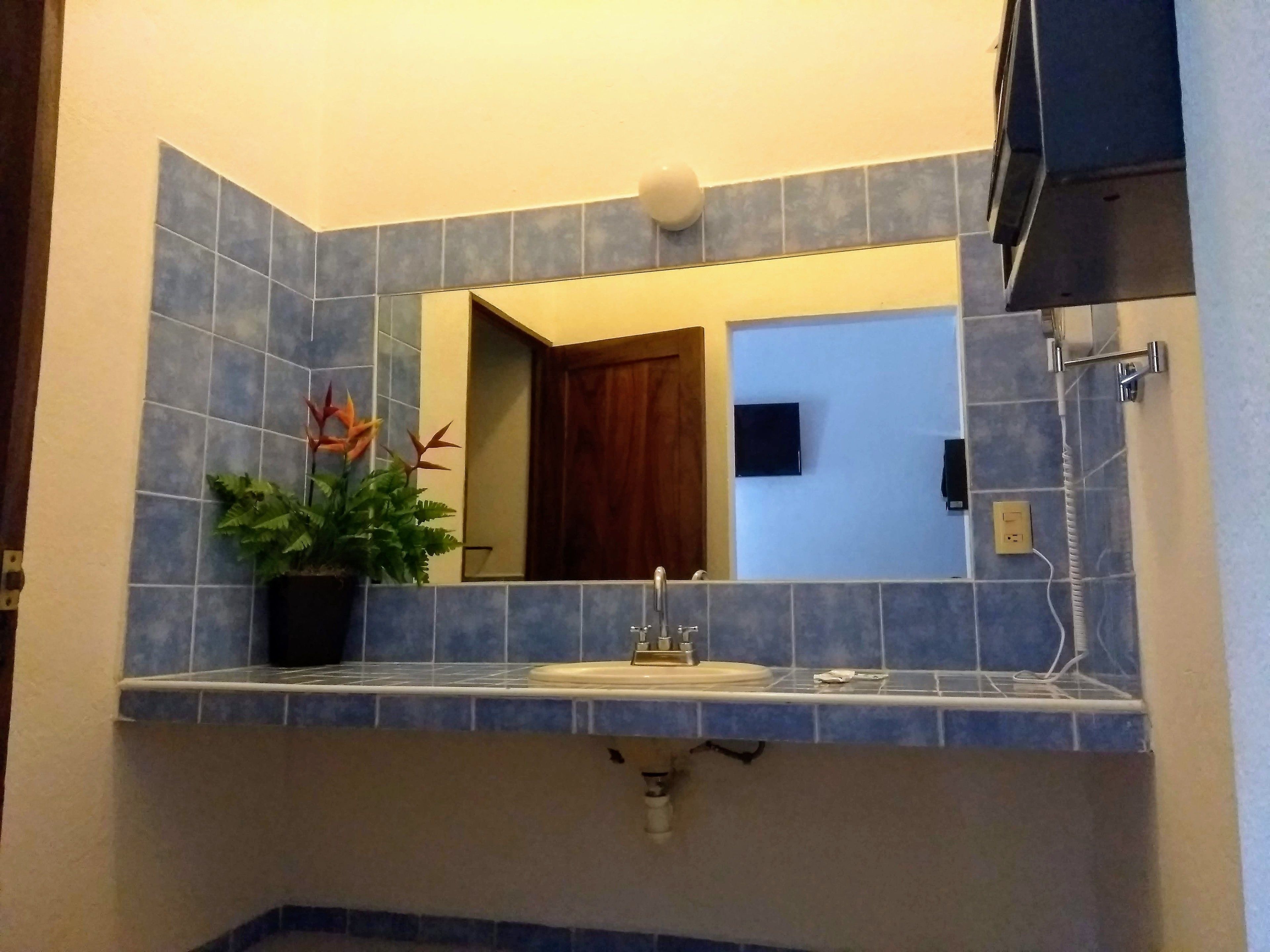 Ein Badezimmer mit Waschbecken, Spiegel und einer Topfpflanze.