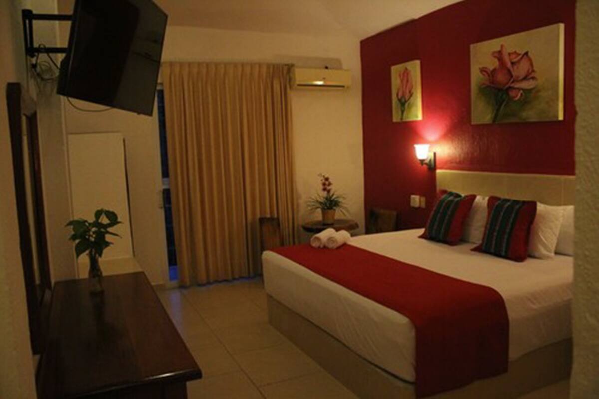 Habitación de hotel con cama, televisor, planta y una maceta, pared roja y un cuadro.
