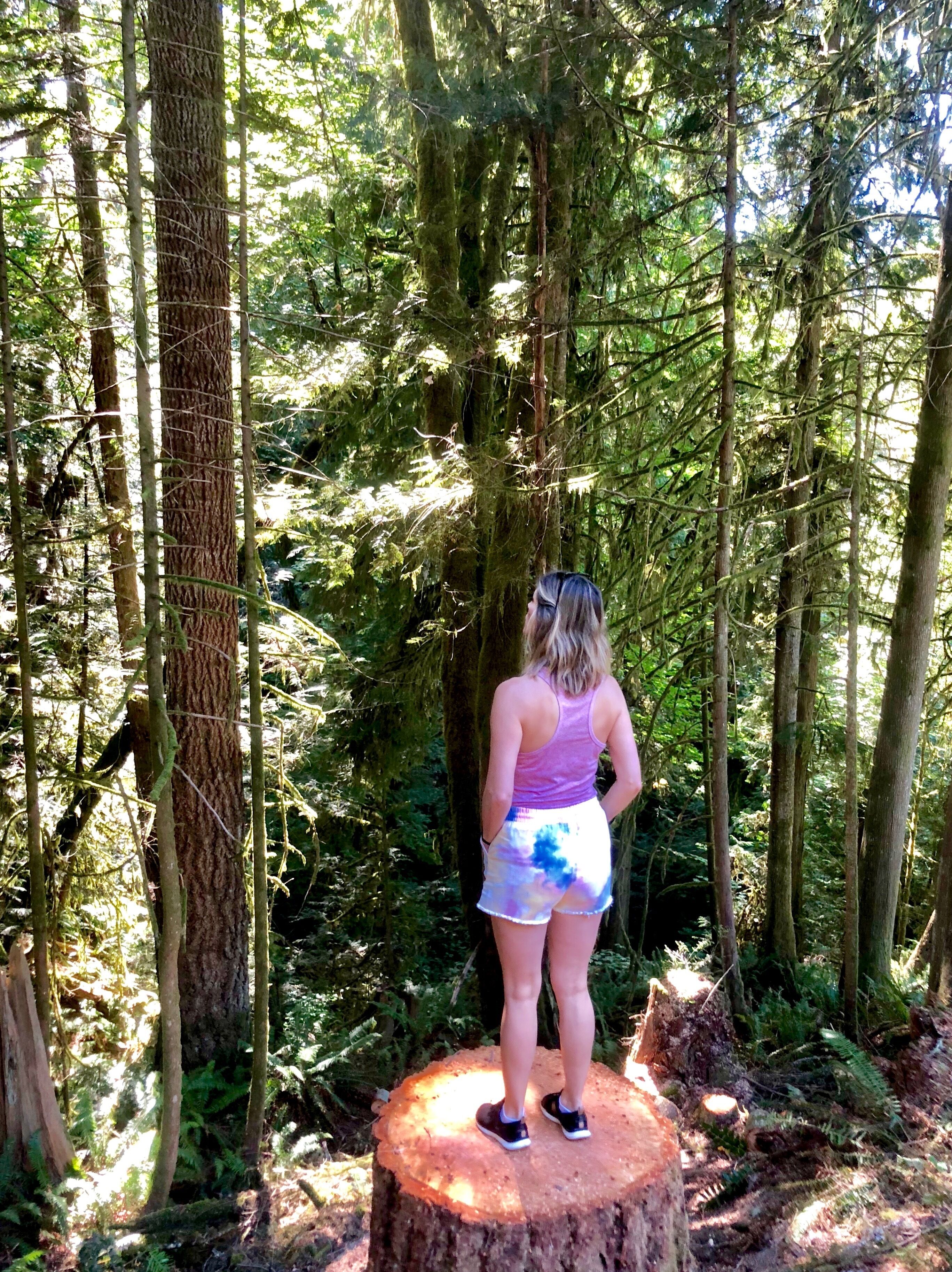 A person standing on a tree stump in a forest.