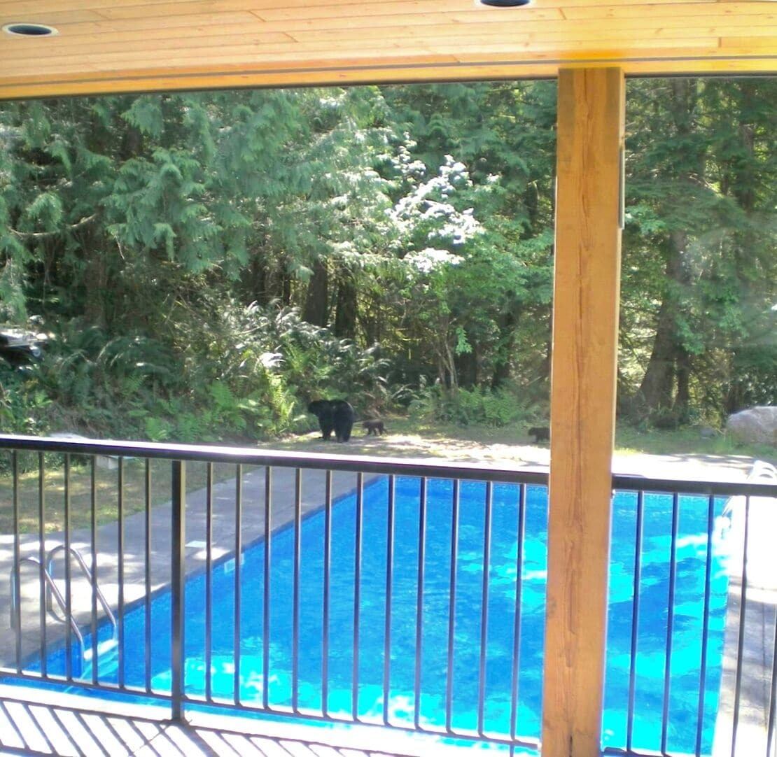 Piscina com deck de madeira e guarda-corpo metálico.