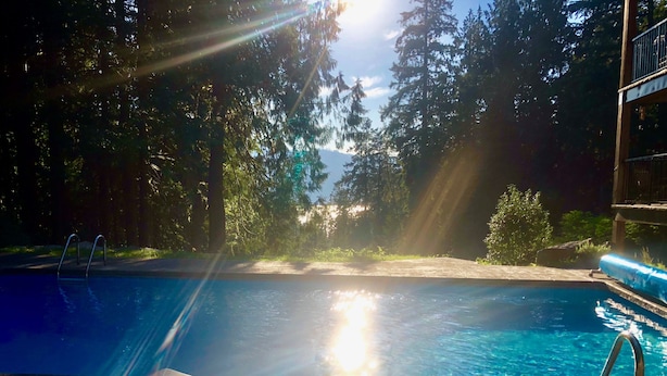 A swimming pool with lounge chairs and a sunlit view of trees. - Davis Brook Retreat (Sechelt)