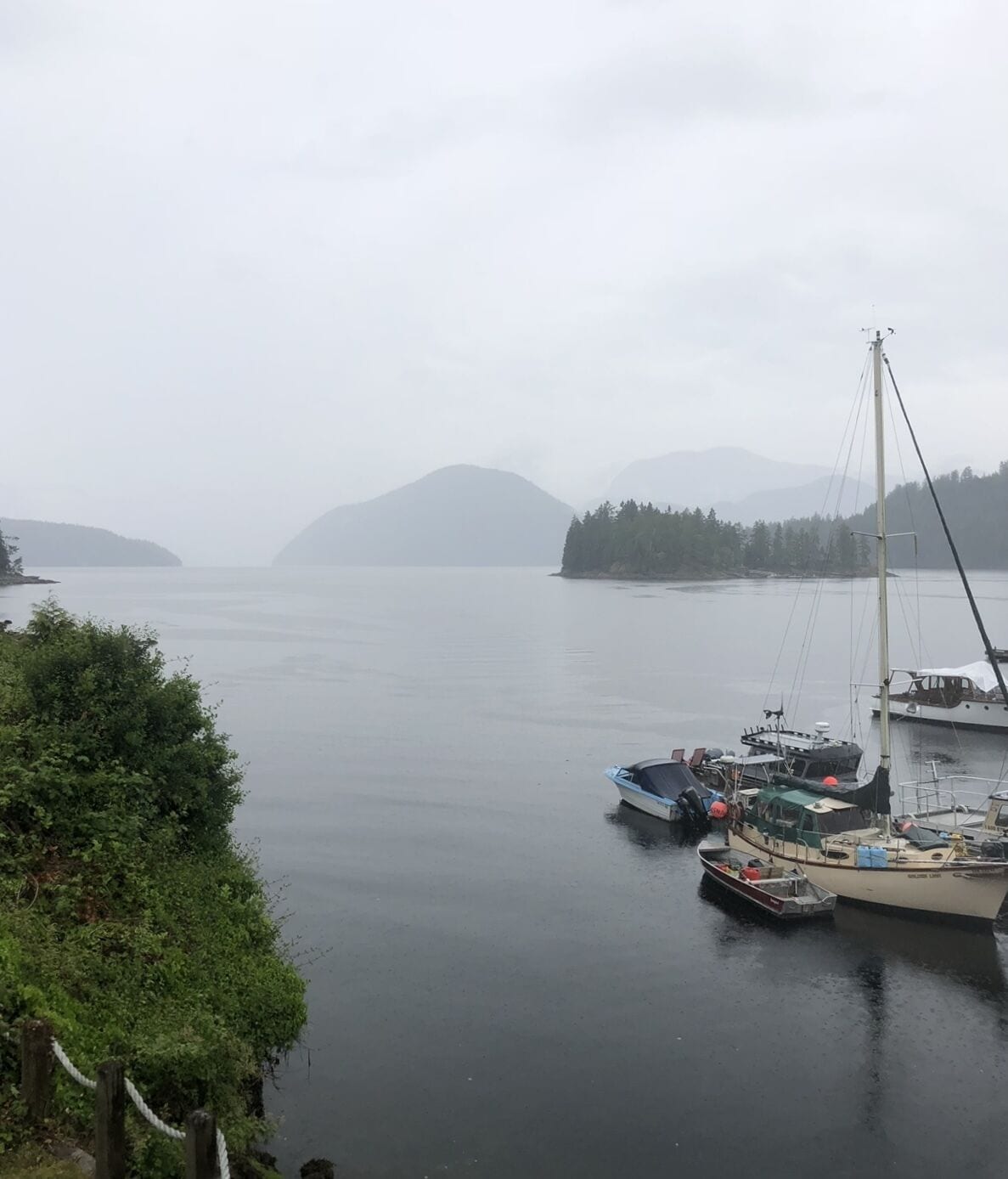 Ein friedlicher Hafen mit mehreren vertäuten Booten, umgeben von üppiger Vegetation und fernen Bergen.