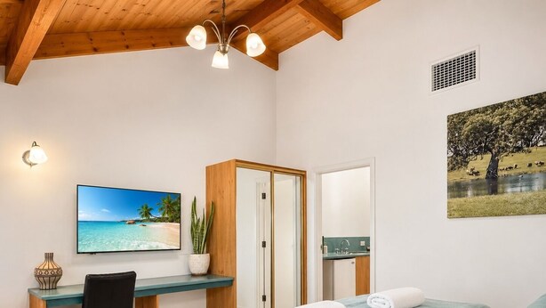 A hotel room with a bed, a desk, a chair, a television, a plant, and a painting. - Coonawarra Place Motor Inn (Coonawarra)