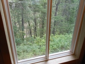 Ferienhütte, 2 Einzelbetten, Flussblick | Ausblick vom Zimmer