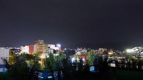 Vista desde la propiedad