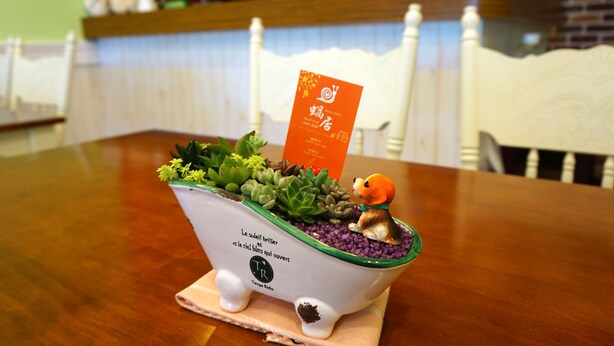 A small, white ceramic planter with green trim and a label, containing various succulents and a small figurine of a dog. - Snail Trail B&B (Taitung)